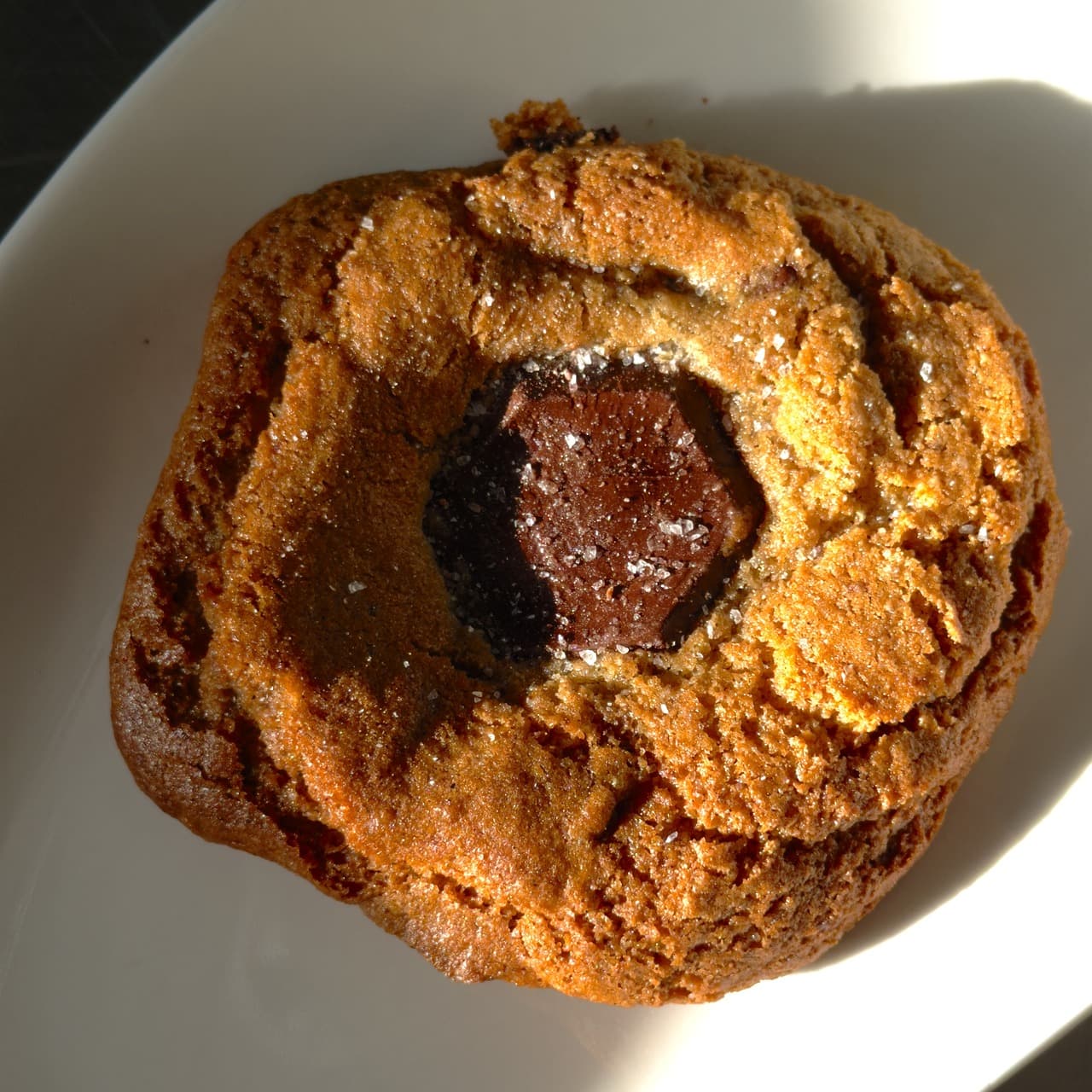 Dark Chocolate Sea Salt Cookie